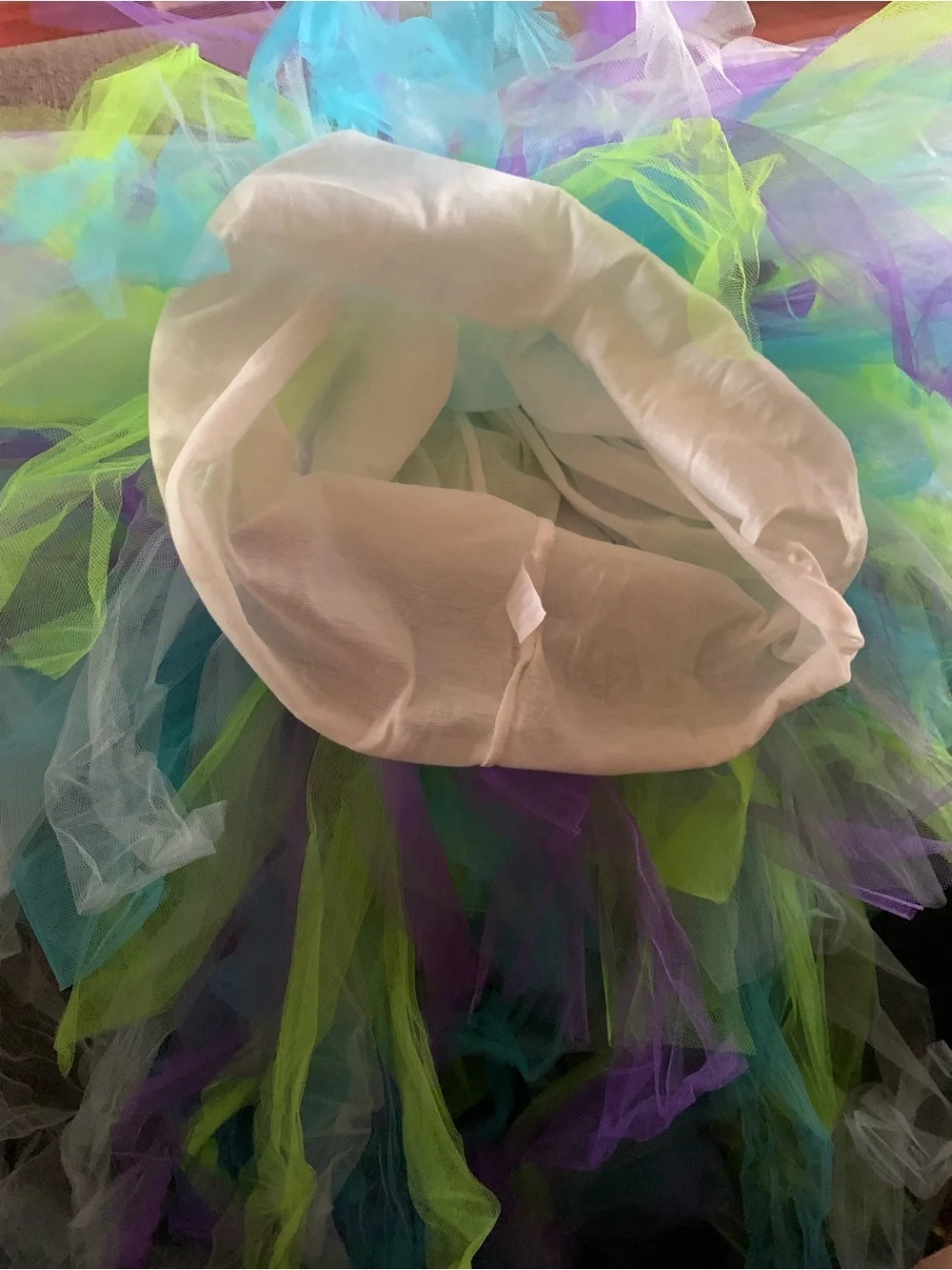 Girls Blue & Green Fairy Tutu Costume w/ wings.